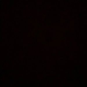 Meet your Posher, Bella